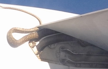 澳航客机高空飞行时机翼下突现3米长大蟒蛇