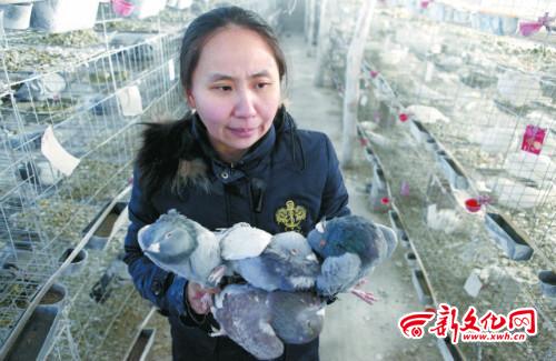 张晓东的妻子捧着死掉的鸽子，心情沉重