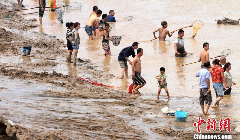 河南三门峡大坝调水调沙 千名群众黄河疯狂捞鱼 