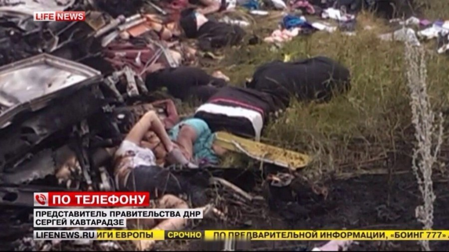 马航客机在乌俄边境被击落