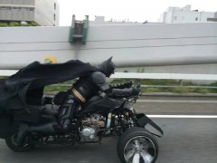 日本高速公路惊现＂蝙蝠侠＂引热议(组图)