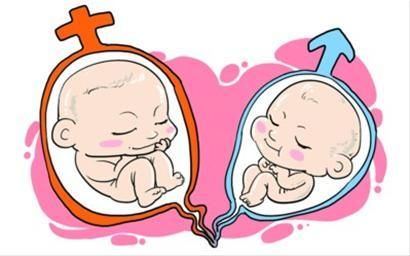 双子宫双阴道产下双胞胎图解  生孩子不同时间段疼痛不同