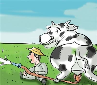 河北奶农因奶价狂跌每日倒奶 养猪户买鲜奶喂猪