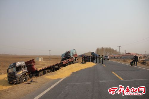 两辆大货车相撞，都冲进路旁深沟，黄豆散落一地。