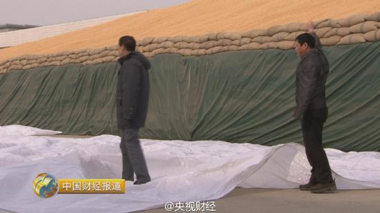 中国2亿吨玉米库存“挤爆”仓库 堪称“堰塞湖”